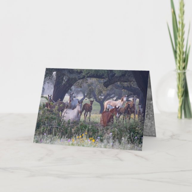 Mares and Foals in the Flowers - Greeting Card (Front)