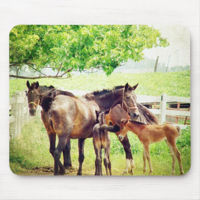 Mares and Foals Mouse Mat (Front)