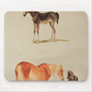 Mares and foals mouse mat