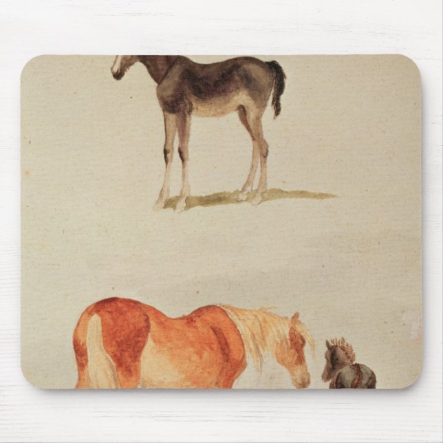 Mares and foals mouse mat (Front)