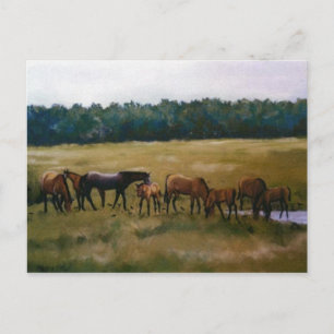 Mares and Foals Original Art Postcard