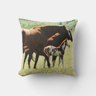 Mares and Foul Horses Picture Cushion