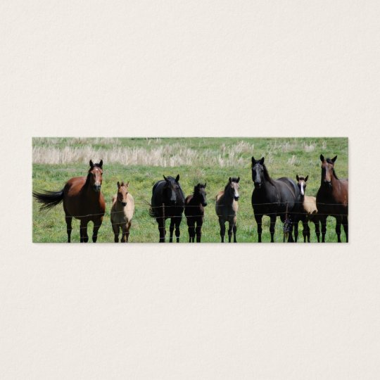 "Mares & Foals" Bookmark Mini Business Card