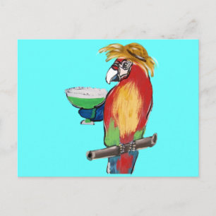 Margarita Parrots Postcard