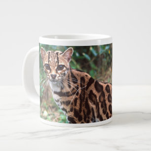 Margay, Leopardus wiedi, Native to Mexico into Large Coffee Mug