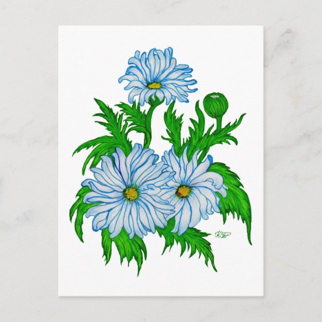 Margeriten Blume Postcard (Front)