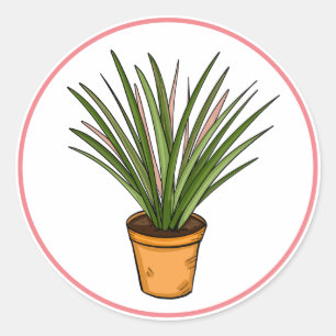 Marginata Hand Drawn Houseplant Art   Classic Round Sticker