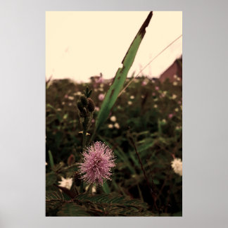 Maria-closed-door-FILTRO Poster