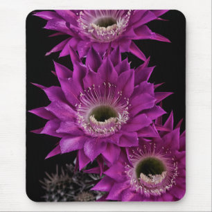 Maria Piazza to the third Mouse Mat