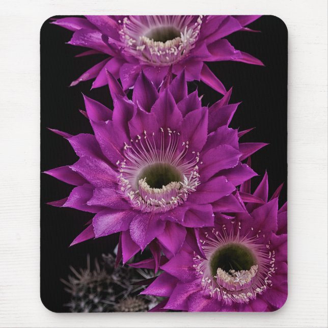 Maria Piazza to the third Mouse Mat (Front)