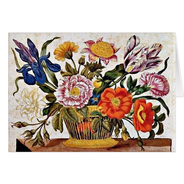 Maria Sibylla Merian - From der Raupen Wunderbare (Front Horizontal)