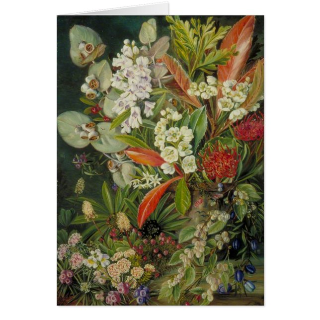 Marianne North Botanical Painting (Front)