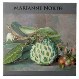 Marianne North Custard Apple Painting Tile