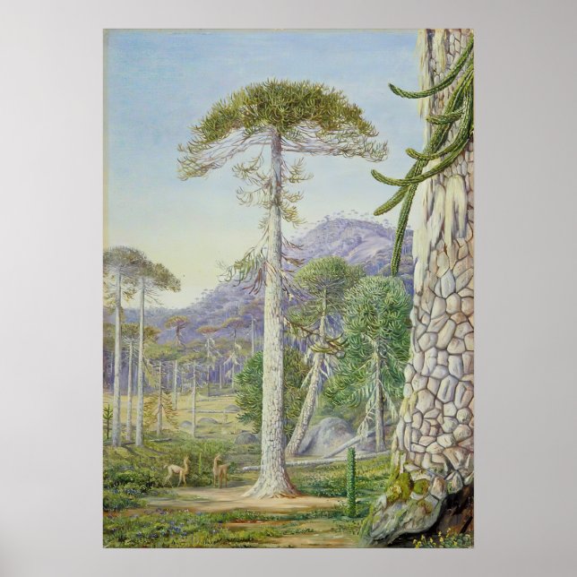 Marianne North - Exotic Landscape II Poster (Front)