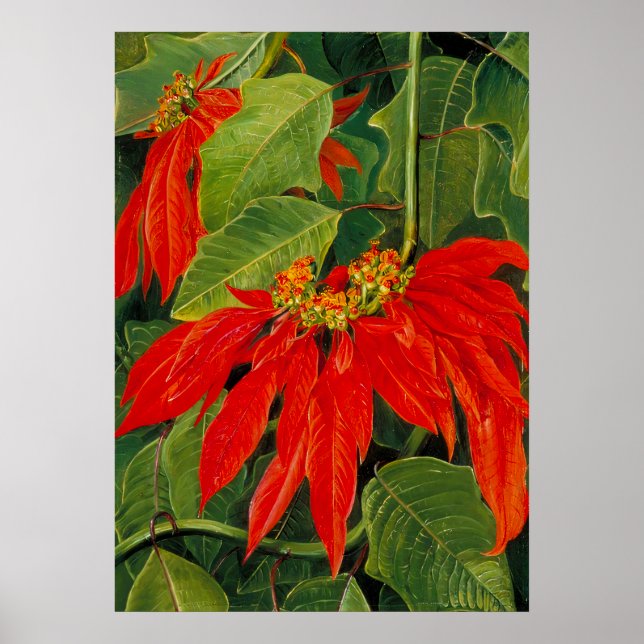 Marianne North - Exotic Landscape Poster (Front)