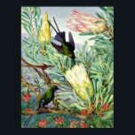 Marianne North - Honeyflowers and Honeysuckers Poster<br><div class="desc">Botanical painting by Marianne North,  Honeyflowers and Honeysuckers,  South Africa.</div>