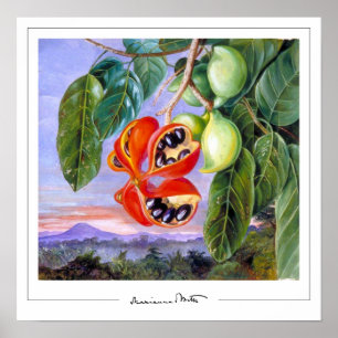 Marianne North Zedign Art Poster #9