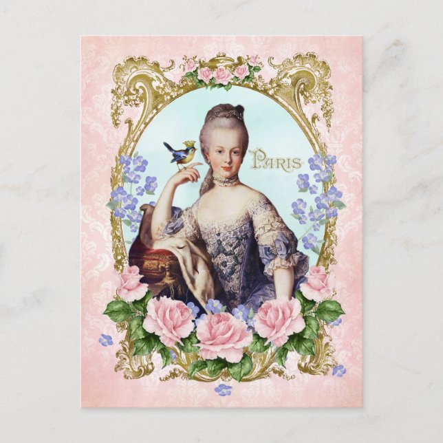 Marie Antoinette Pink Damask Antonia Rose Postcard (Front)