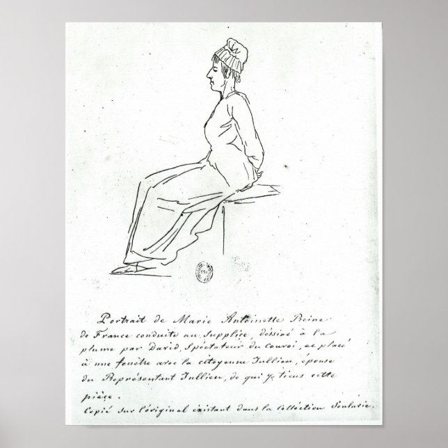 Marie-Antoinette's way to her execution Poster (Front)