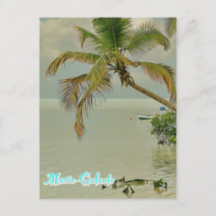 Marie-Galante, plage Postcard