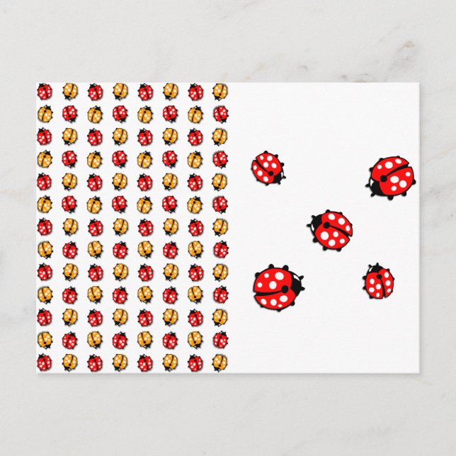 Marienkäfer Invasion Postcard (Front)