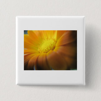 Marigold 15 Cm Square Badge