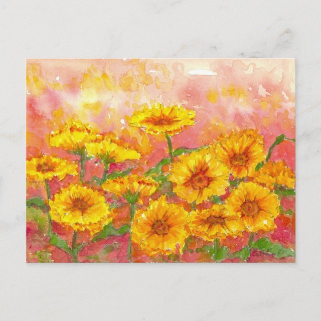 Marigold Autumn Flower Watercolor Garden Art Postcard (Front)
