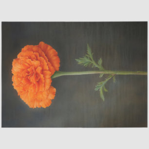 Marigold Botanical Painting Decoupage Tissue Paper