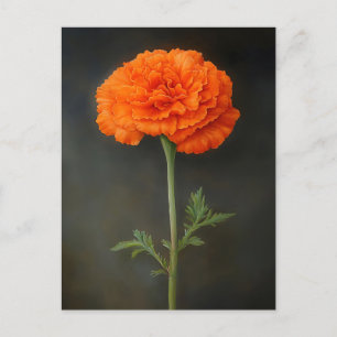 Marigold Botanical Painting Postcard