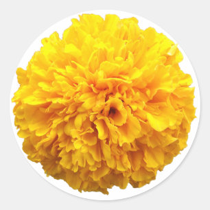 Marigold Classic Round Sticker
