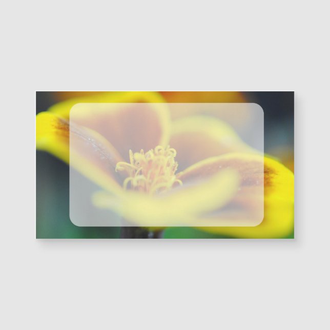 Marigold Close Up (Front)