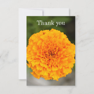 Marigold Flat Thank You Card