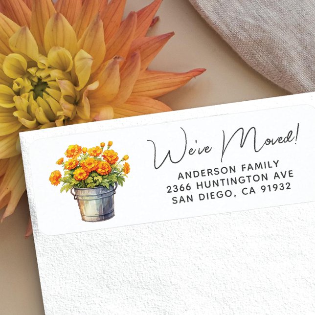 Marigold Floral Address (Creator Uploaded)