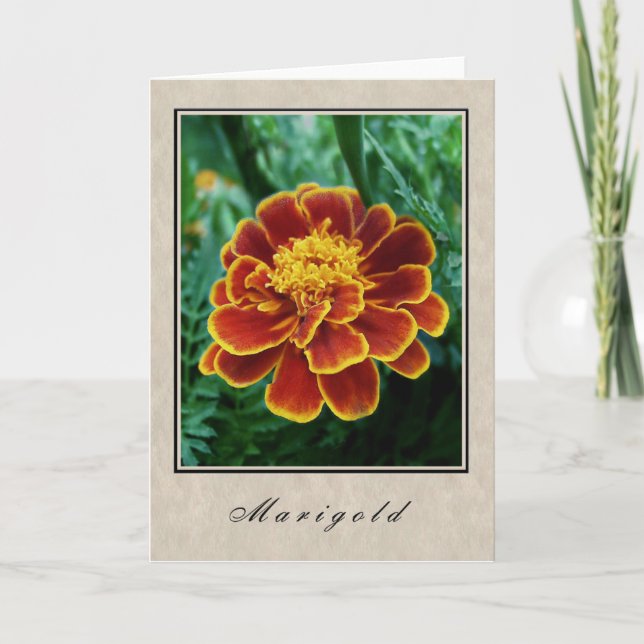 Marigold - Floral Series Card (Front)