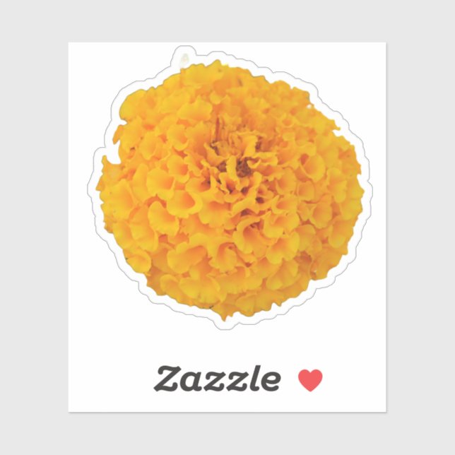 Marigold Flower (Sheet)
