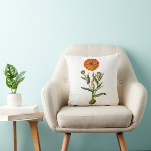 Marigold Flower Botanical Cushion