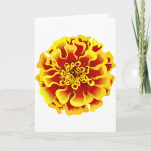 Marigold Flower Card