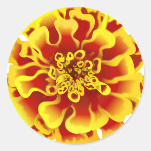 Marigold Flower Classic Round Sticker