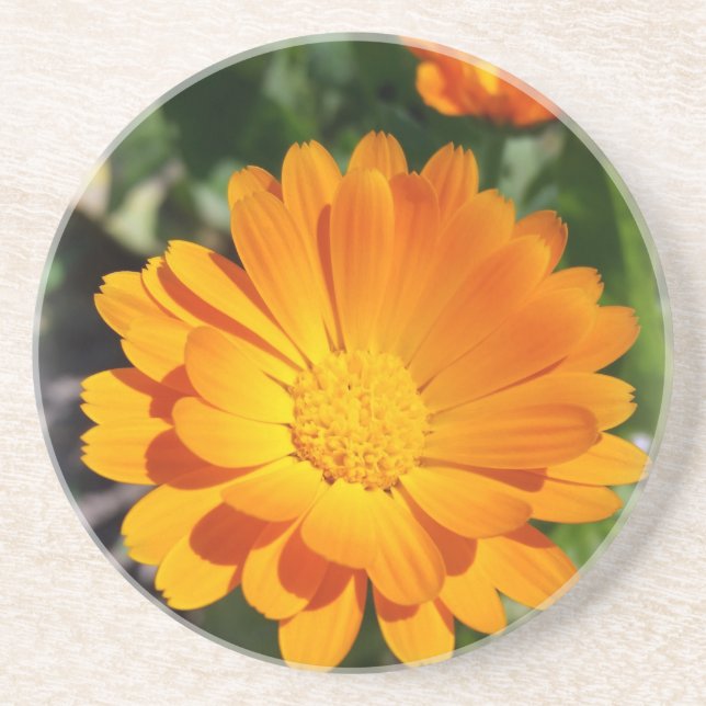 marigold flower coaster (Front)