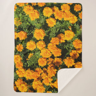 Marigold flower in blossoms sherpa blanket