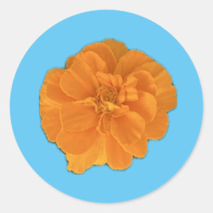 Marigold Flower Sticker
