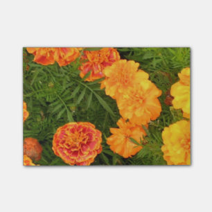 Marigold Flowers Post-it Notes