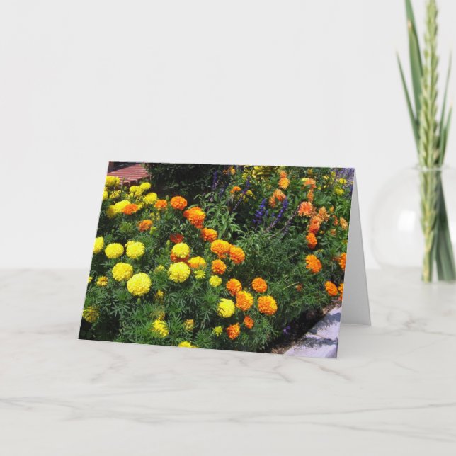 Marigold Garden - Greeting Card (Front)