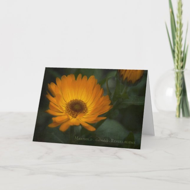Marigold Greeting Card (Front)