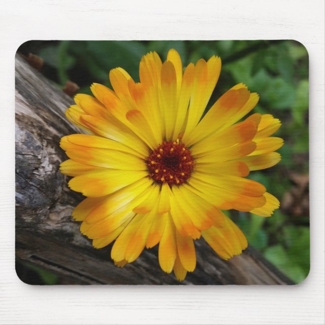 marigold on log mouse mat (Front)
