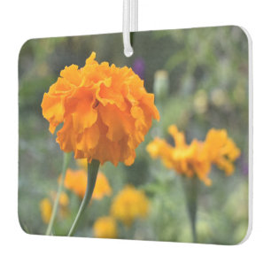 Marigold Orange Flower Nature Photography Garden Car Air Freshener