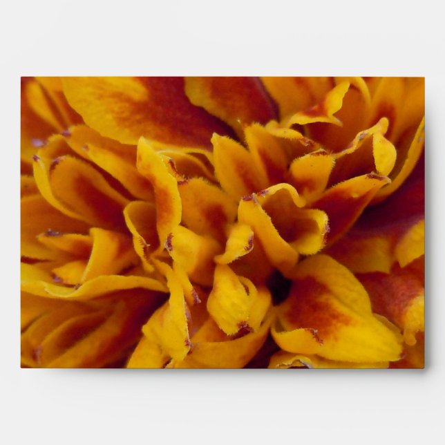 Marigold Petals Envelopes (Front)