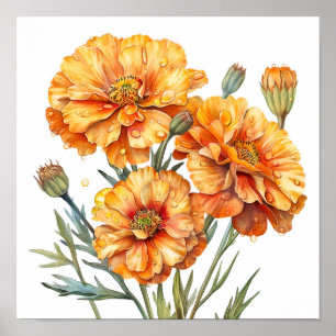 Marigold Print, Orange Flowers Wall Art 