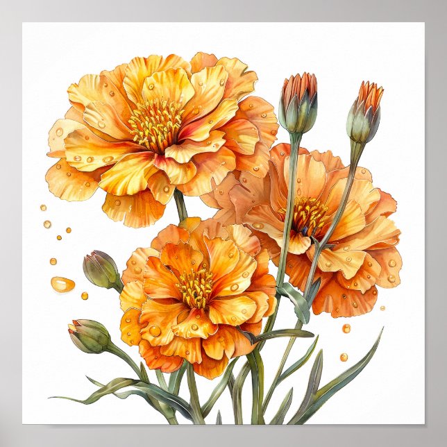 Marigold Print, Orange Flowers Wall Art  (Front)