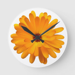 Marigold Round Clock